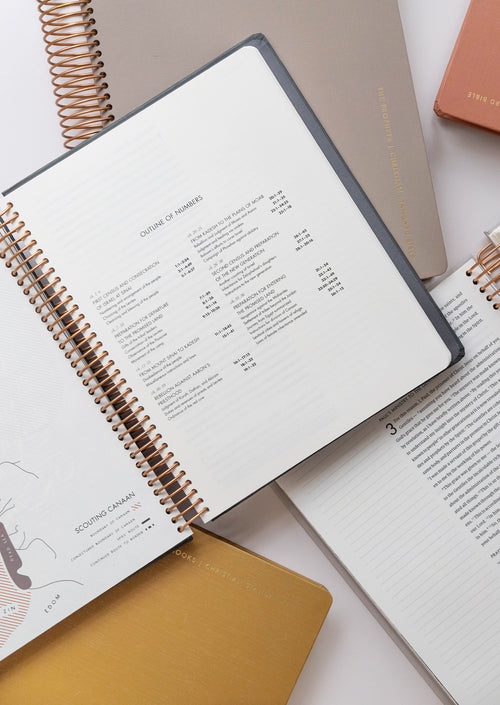 She Reads Truth Spiral Bound Notetaking Bible, Five-Volume Set