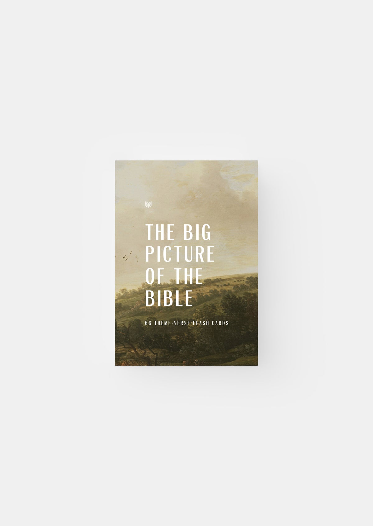True Scriptures Store Scripture Card Sets – She Reads Truth
