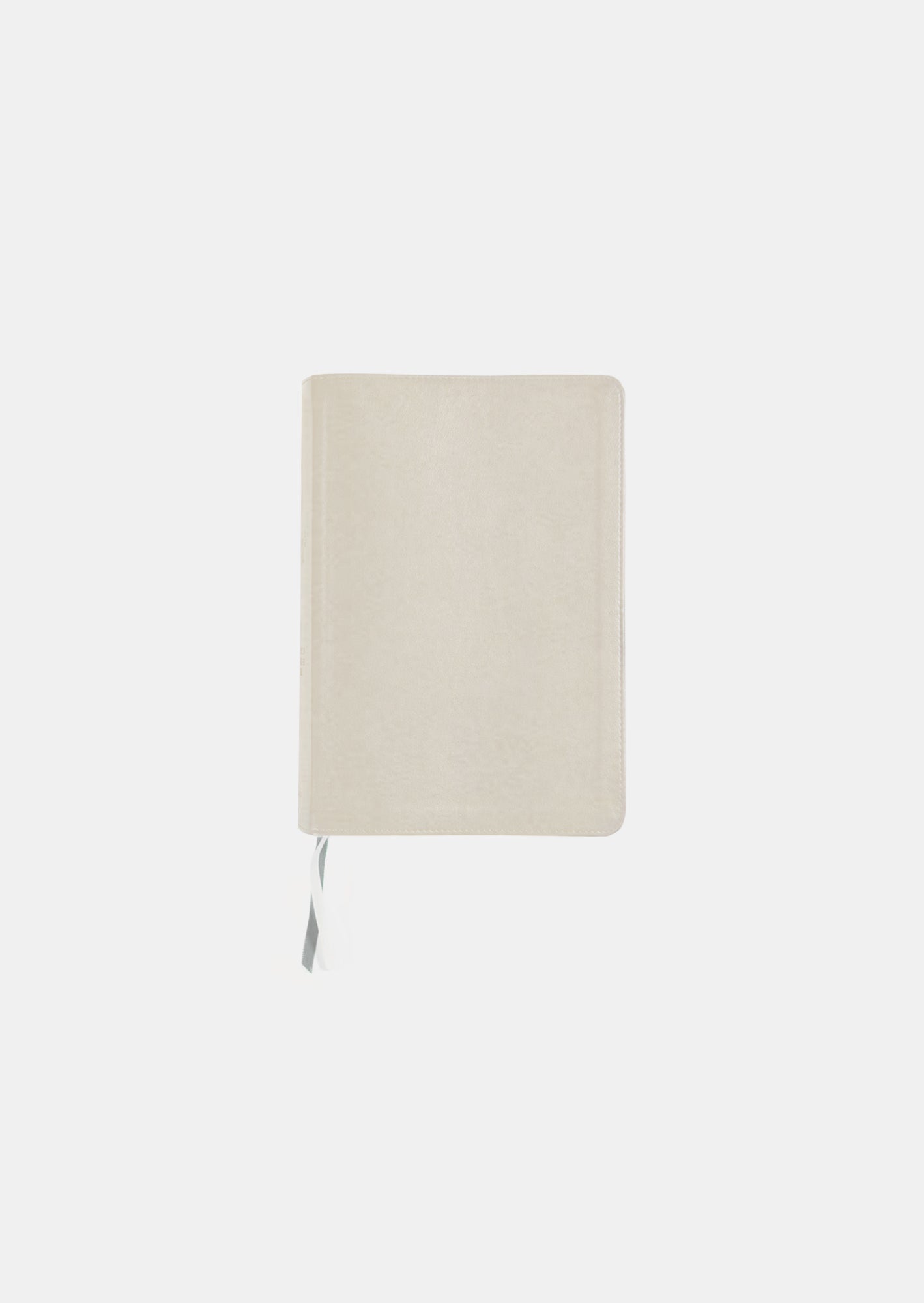 She Reads Truth Bible, Champagne Gold LeatherTouch