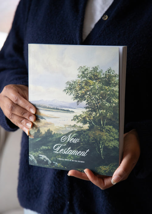 This Is the New Testament Women's Reading Guide