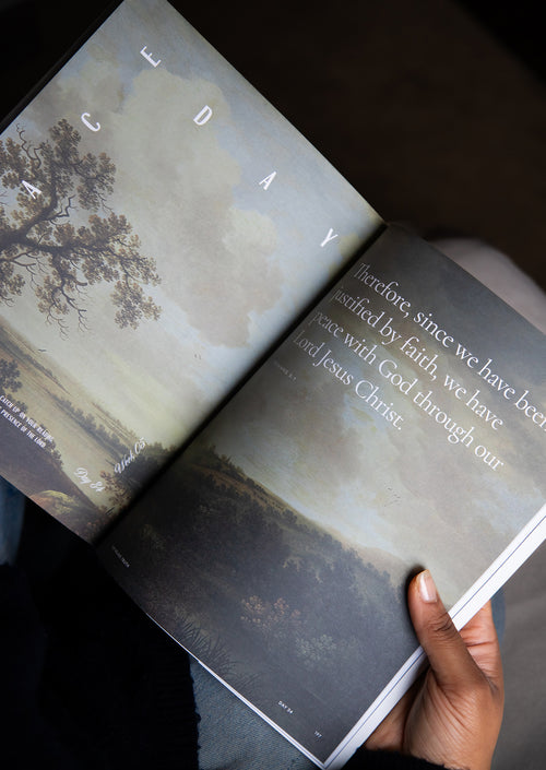 This Is the New Testament Women's Reading Guide