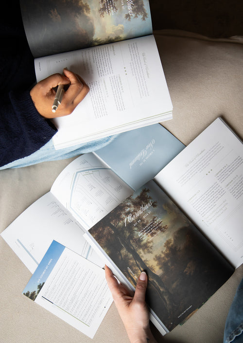 This Is the New Testament Women's Reading Guide
