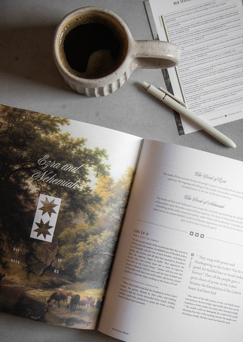 This Is the Old Testament Women's Reading Guide