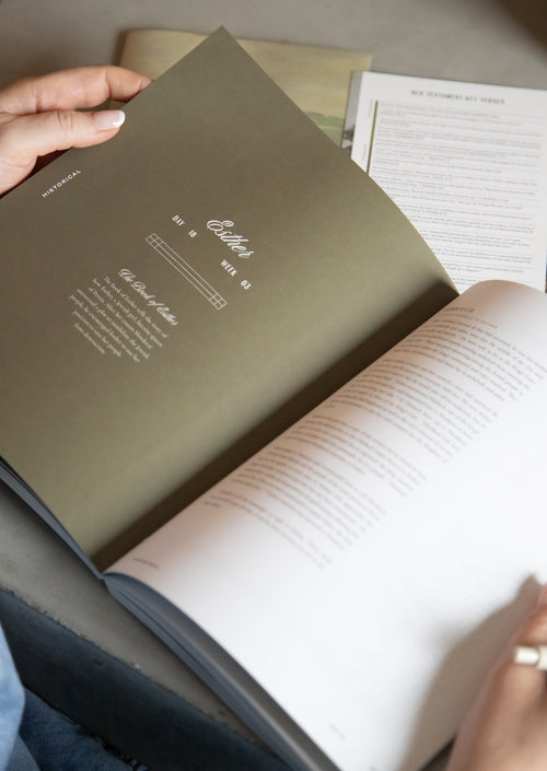 This Is the Old Testament Women's Reading Guide