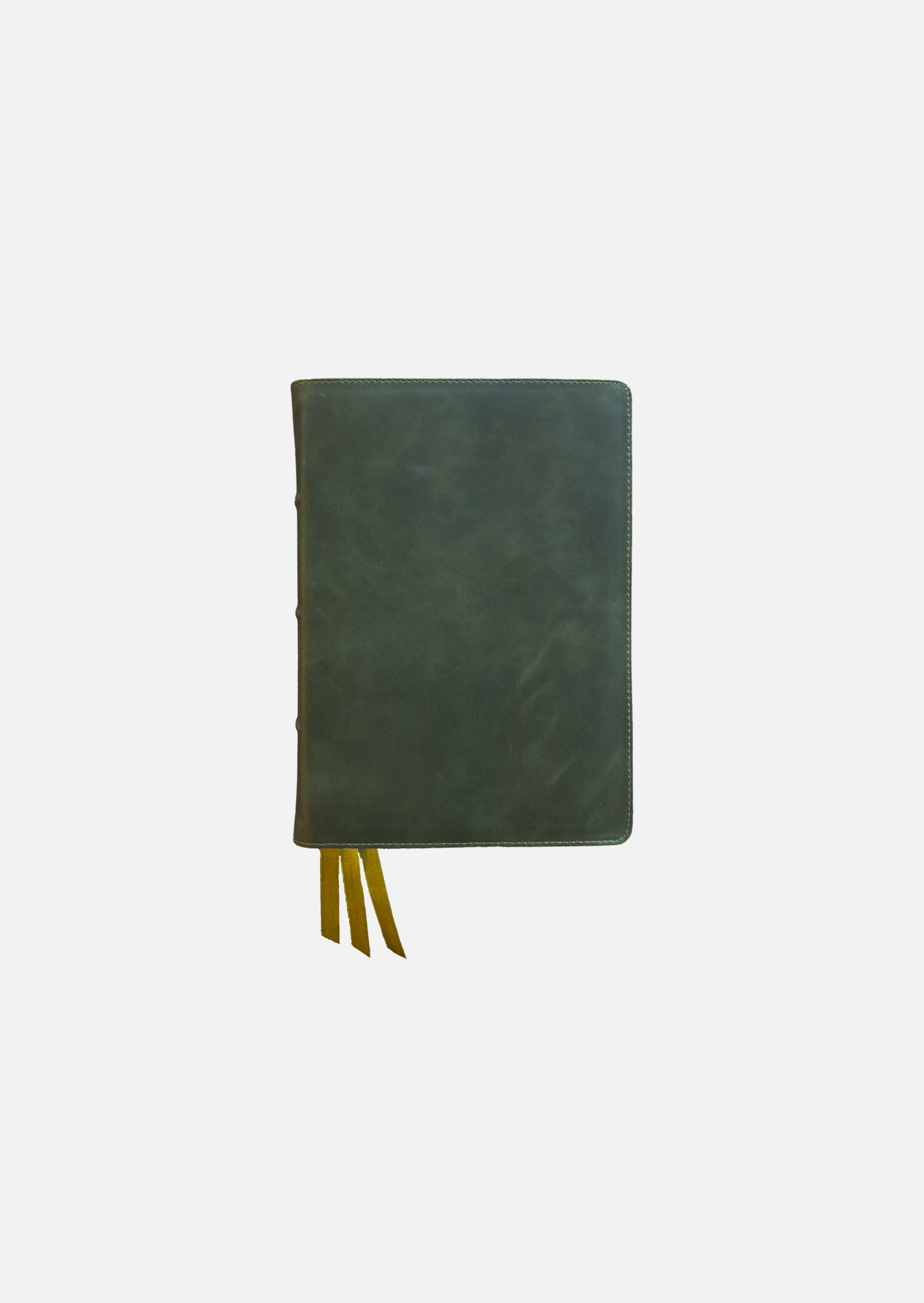 She Reads Truth Bible, Holman Handcrafted Collection, Olive Premium Ca