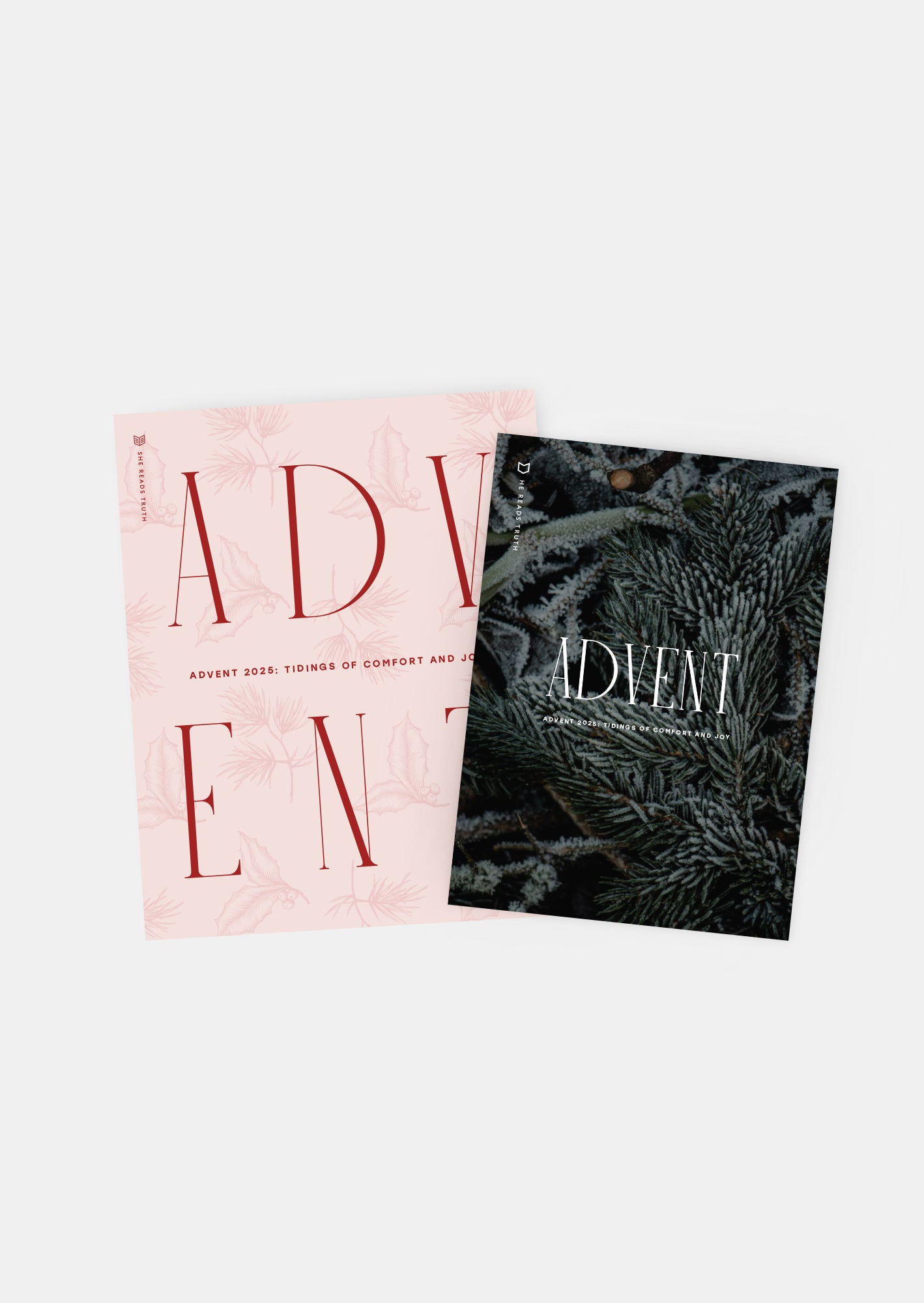 Advent 2025 Women's and Men's Reading Guide Bundle