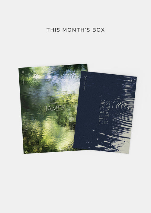 Monthly Subscription Box