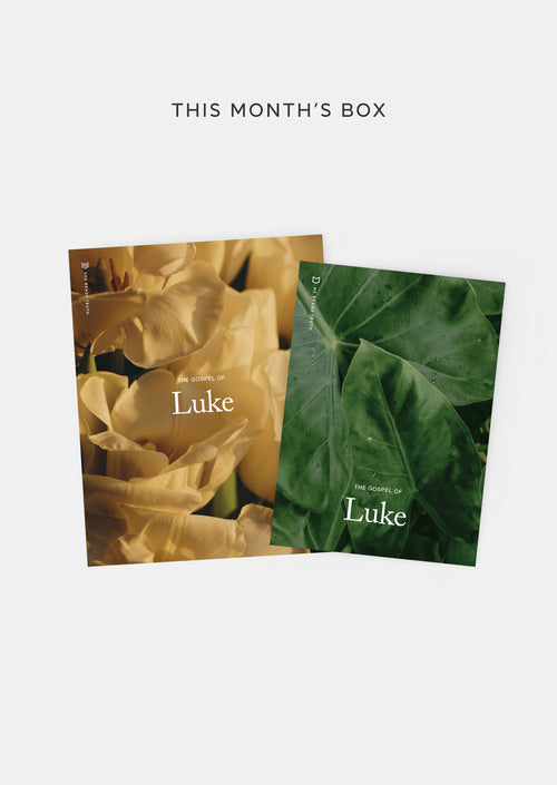 Monthly Subscription Box