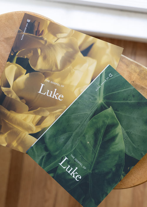 Luke Women's and Men's Reading Guide Bundle