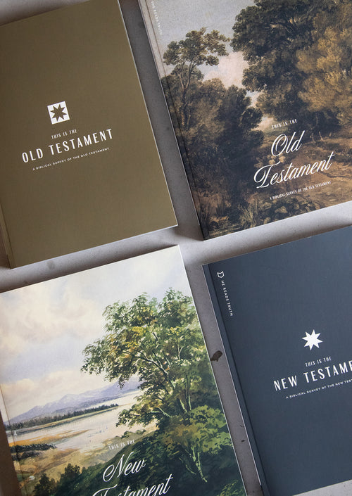 The Story of Scripture Women's and Men’s Reading Guide Bundle