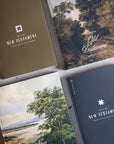 The Story of Scripture Women's and Men’s Reading Guide Bundle