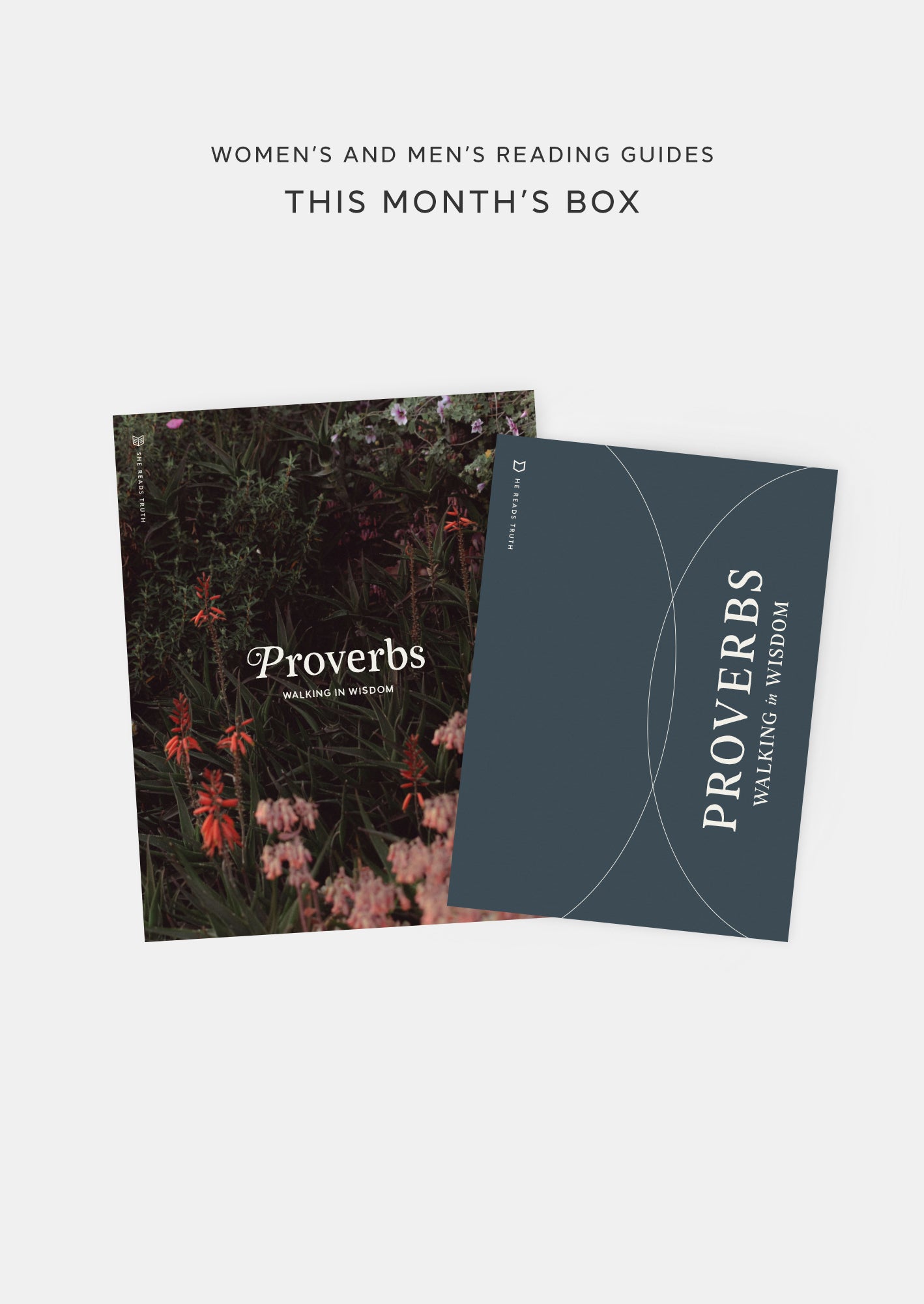 Monthly Subscription Box