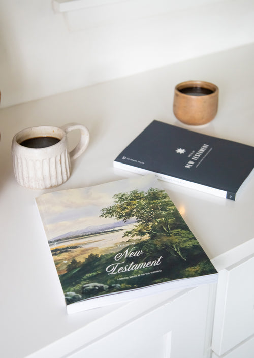 This Is the New Testament Women's and Men's Reading Guide Bundle