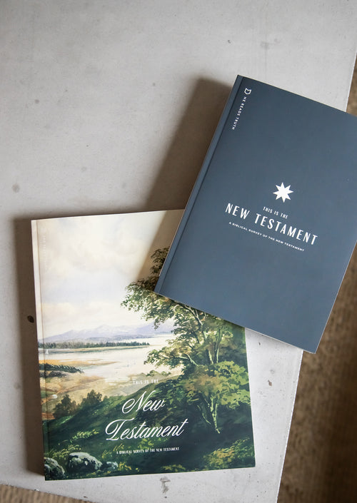 This Is the New Testament Women's and Men's Reading Guide Bundle