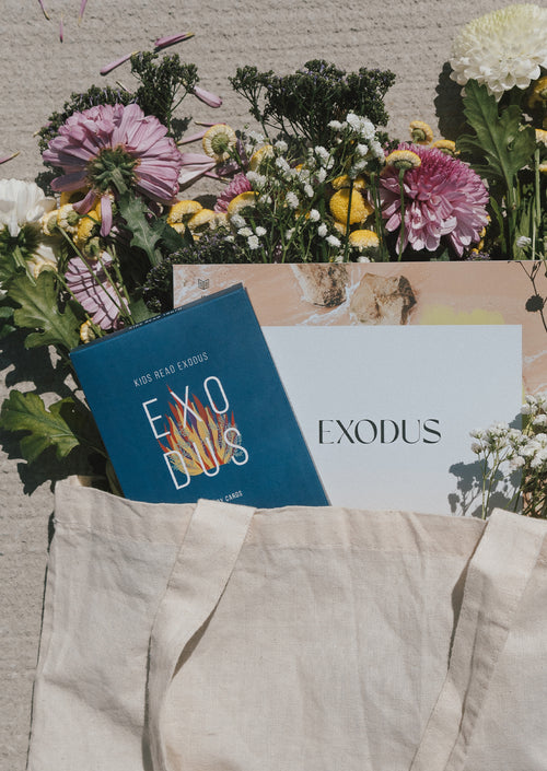 Exodus Women's and Kids Bundle