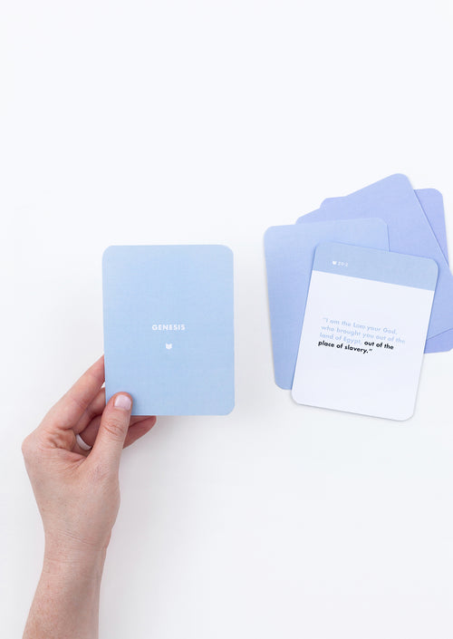 The Big Picture of the Bible Flashcards