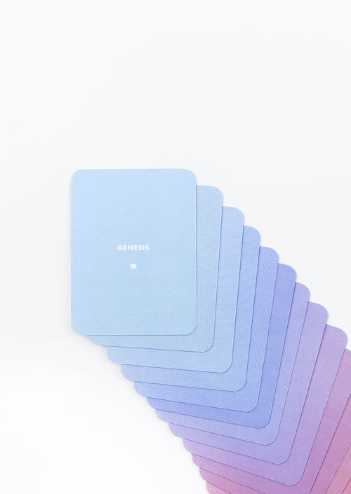 The Big Picture of the Bible Flashcards