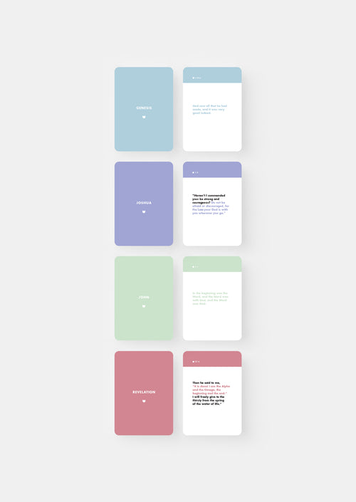 The Big Picture of the Bible Flashcards