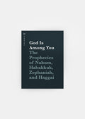 minor prophets bible reading plan