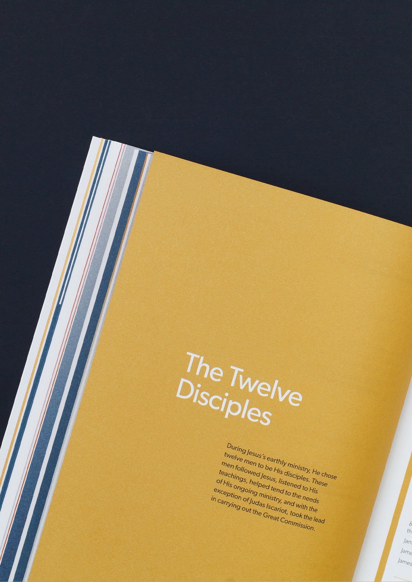 Women &amp; Men in the Word New Testament Men's Reading Guide