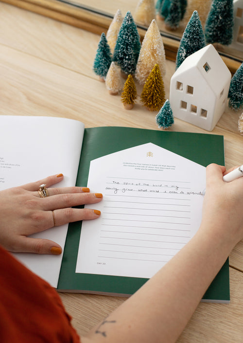 Advent 2021: The Everlasting Light | Women's Reading Guide
