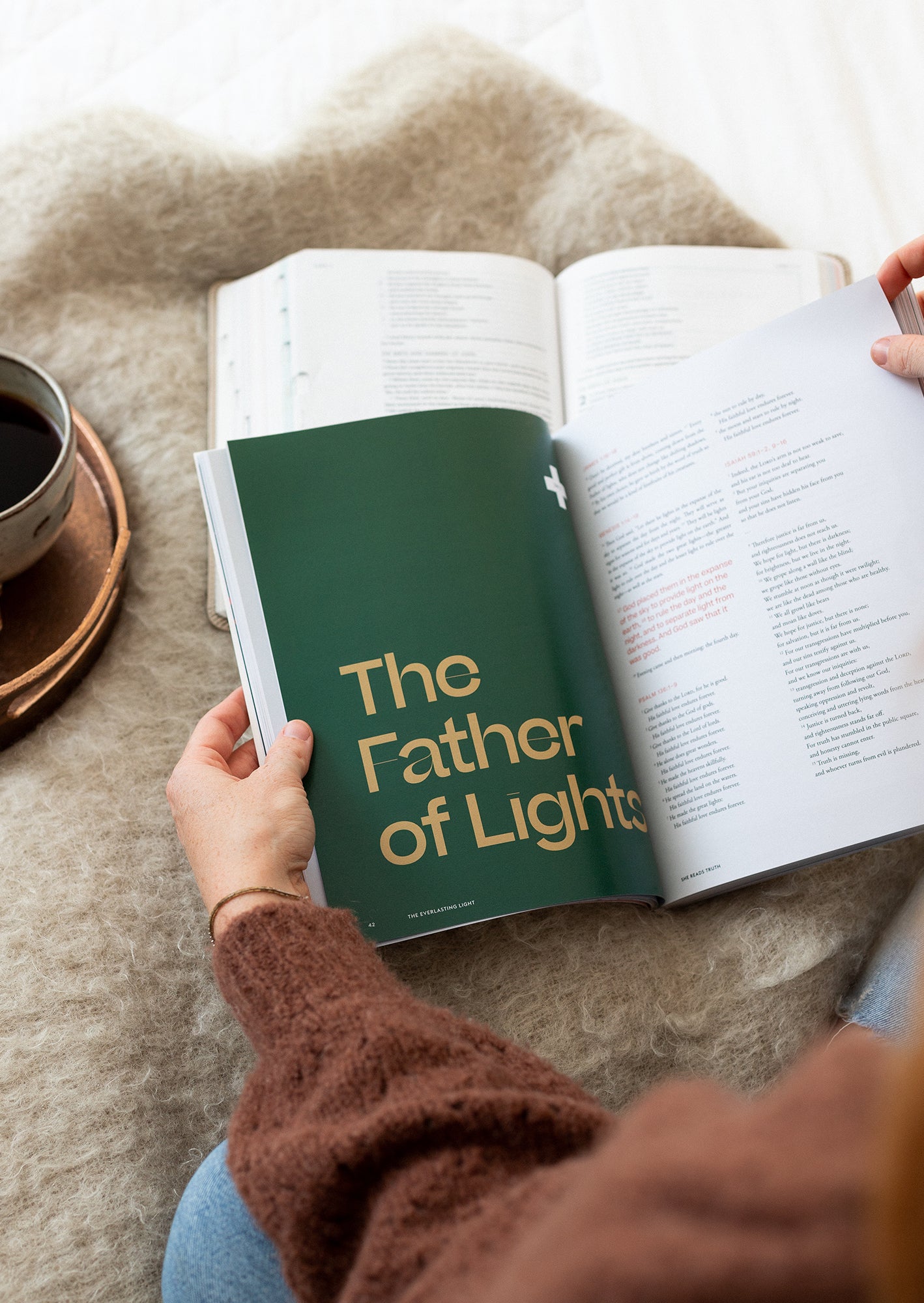 Advent 2021: The Everlasting Light | Women's Reading Guide