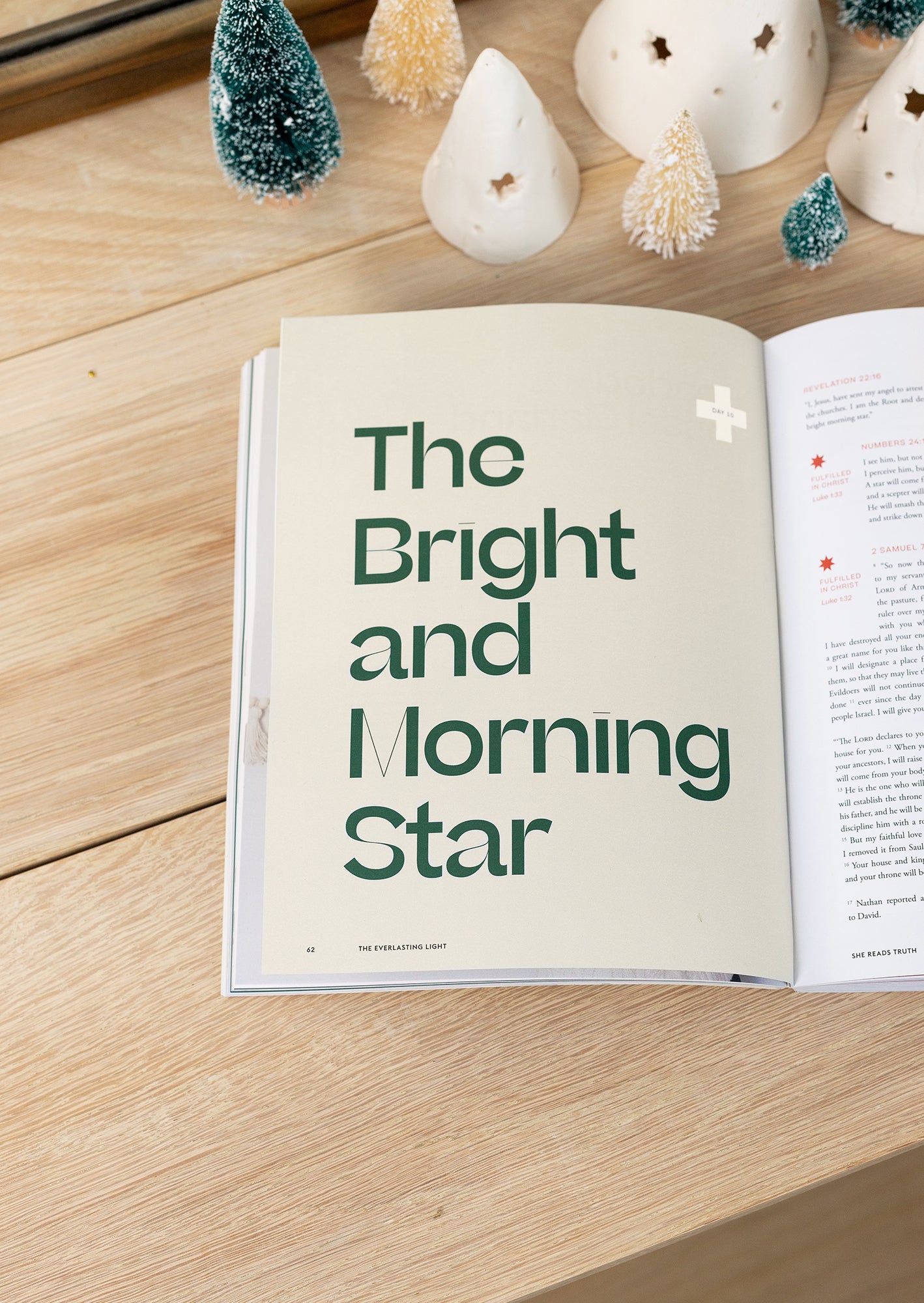 Advent 2021: The Everlasting Light | Women's Reading Guide