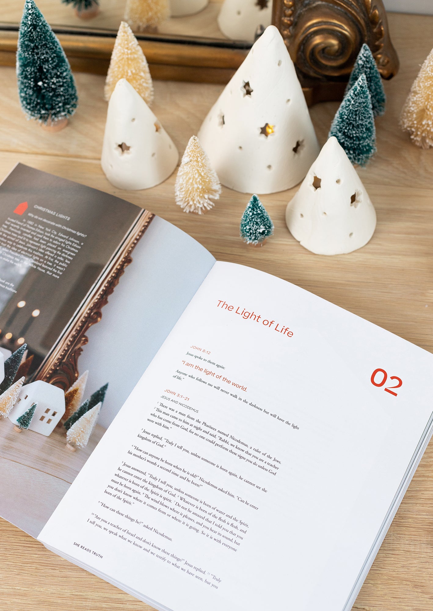Advent 2021: The Everlasting Light | Women's Reading Guide