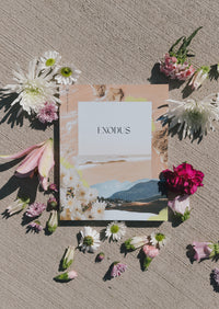 Exodus Women's Reading Guide