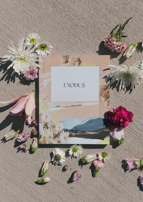 Exodus Women's Reading Guide