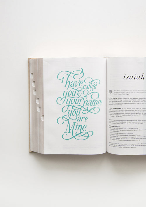 She Reads Truth Bible, Sand (Indexed)