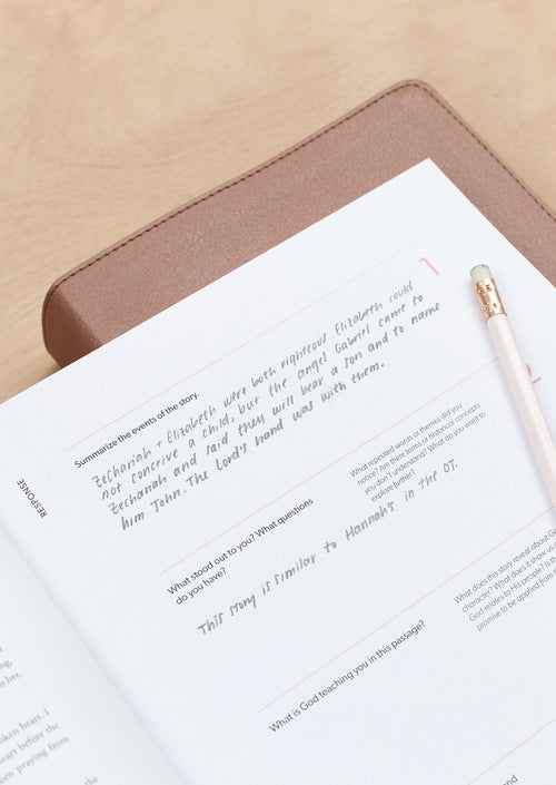 Women & Men in the Word New Testament Women's Reading Guide